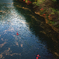 Kayaking in Okutama