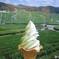 小野茶ソフトクリーム
