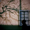 quiet shadow