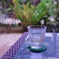 a glass of water in summer