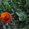 DSC00469
