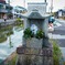 どこから来た明日か