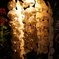 DSC03260