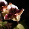 DSC03278