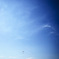into the sky