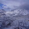 三俣山に咲く雪の華