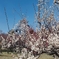 IMG_20250322_201226