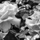 Monochrome_09