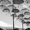 Monochrome_15
