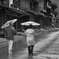 Monochrome_24