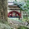 玉の橋