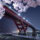 春夜景