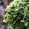DSCF5894