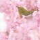 至福の時