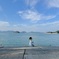 大久野島の海