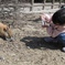 小さなカメラマン