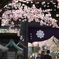 spring for tokyoites 2025