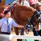 ６馬身差勝利前