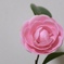 DSCF0751