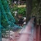 Chat noir.