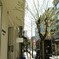 春…　芽吹き　再生　再出発…