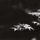 Monochrome_3