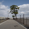 仙台市宮城野区
