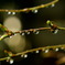 雨だれの旋律