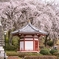 枝垂れの塔