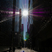 sunlight