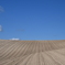 Hill at Biei