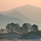 朝靄に霞む