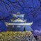 宵桜５・浜松城