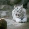 東武動物公園②