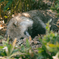 東武動物公園③
