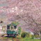 春列車