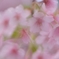 春色