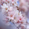 E9200267-C98B-44CE-9A4A-328D0896DD9C