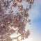 4B78D3EF-65B0-4FA0-8F48-6C6CC40C126A