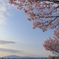 1BB287B5-F94D-497D-9A4E-B127D4F81DB5