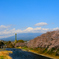 富士山と桜