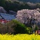 林陽寺