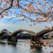 山口　錦帯橋
