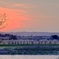 去年の桜と夕日