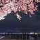 夜の狭山池