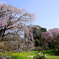 春の記録