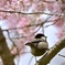 きれいだなぁ〜