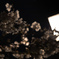 夜桜3
