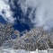 北海道の冬景色