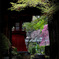 門前の風景
